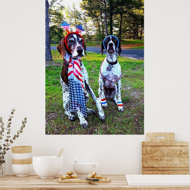 Poster Chiens de la fête patriotique (Cuisine)
