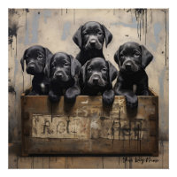 Chiens de marionnettes amicaux Labrador Retriever 