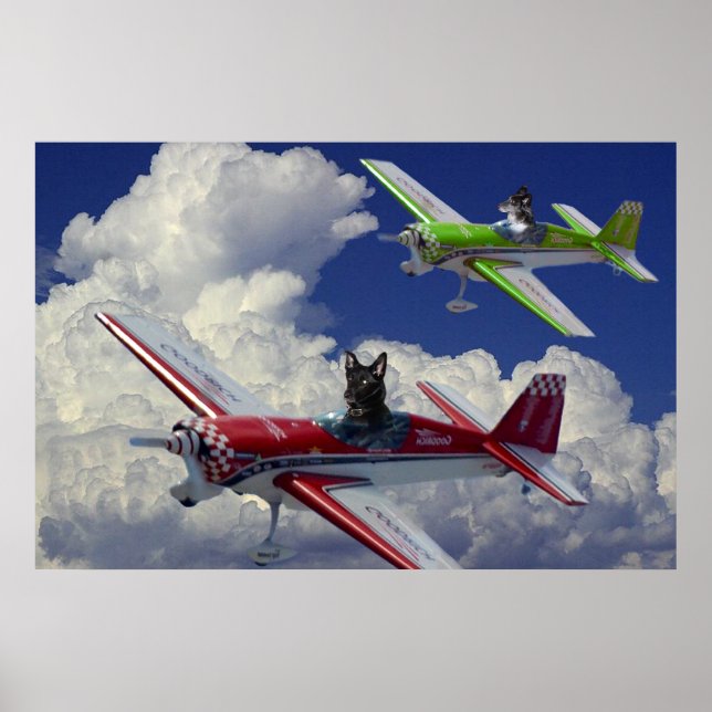 Poster Chiens de vol 4 (Devant)