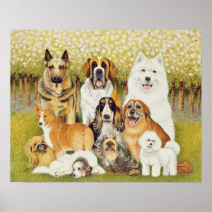 Poster Chiens en mai