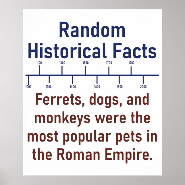 Poster Chiens Et Singes Ferrets - Histoire (Devant)