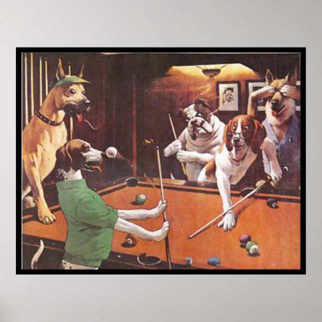 Poster Chiens Jouer à la piscine - Le Beagle de la fronde (Devant)