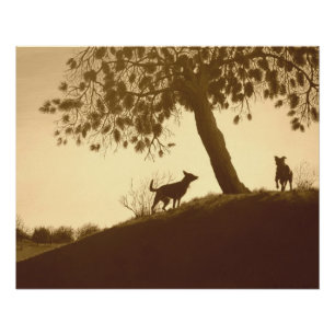 Poster chiens pittoresques originaux dans le parc sepia p