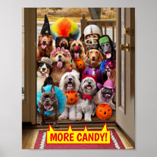 Poster Chiens qui font des pieds ou des pieds