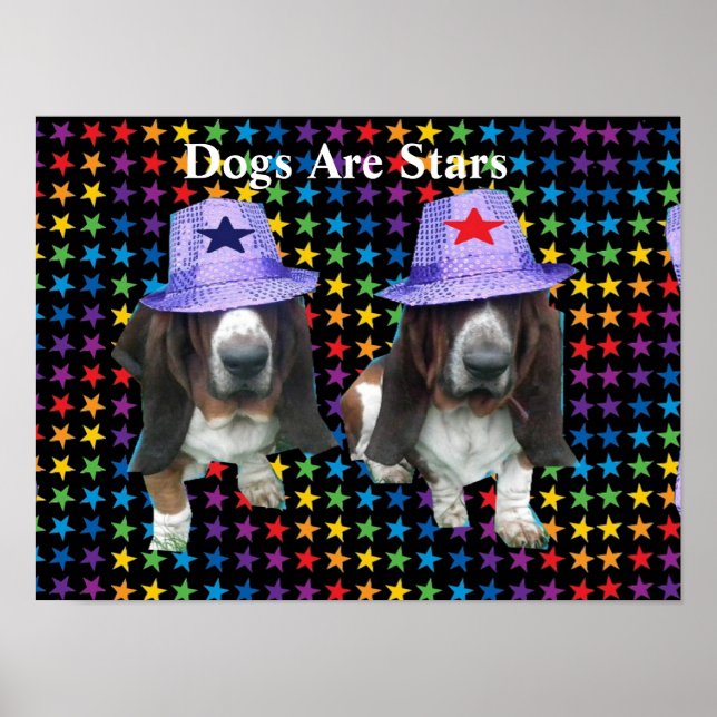 Poster Chiens Sont Des Étoiles (Devant)