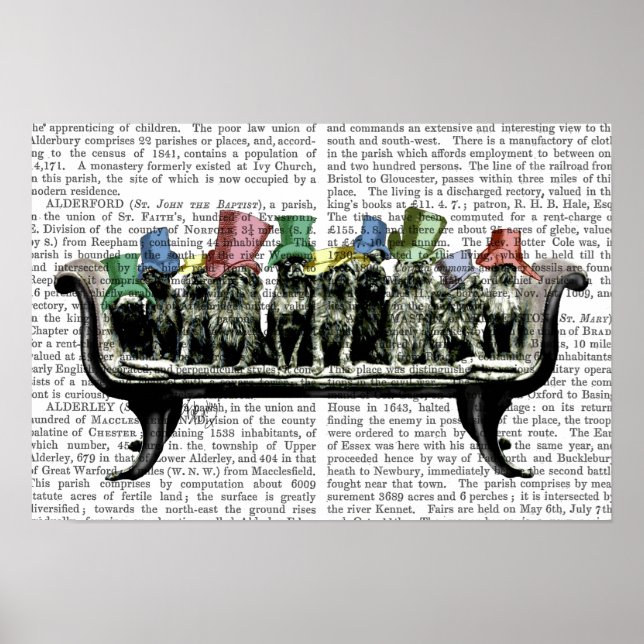 Poster Chiens sur Sofa (Devant)