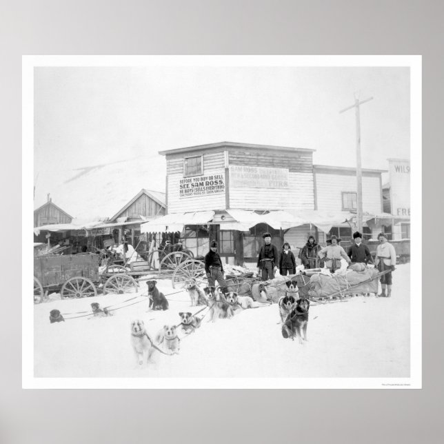Poster Chiens transportant de la nourriture Alaska 1924 (Devant)