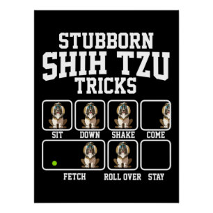 Poster Chih Tzu Chien Tzu Stubborn