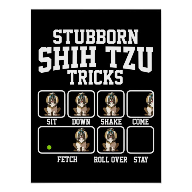 Poster Chih Tzu Chien Tzu Stubborn (Devant)