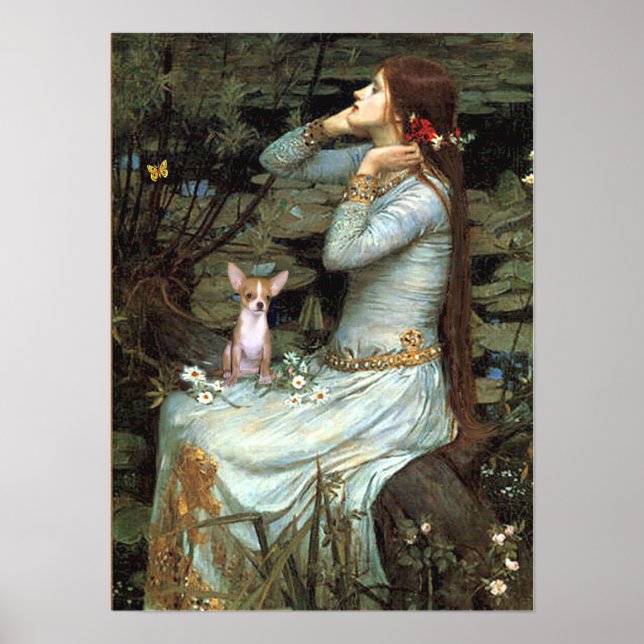 Poster Chihuahua 1 - Ophelia assis (Devant)