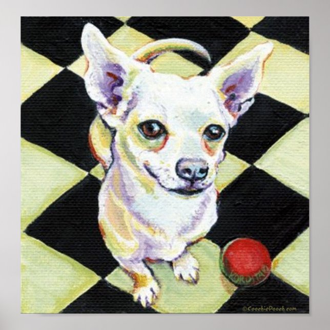 Poster Chihuahua blanc avec balle rouge (Devant)