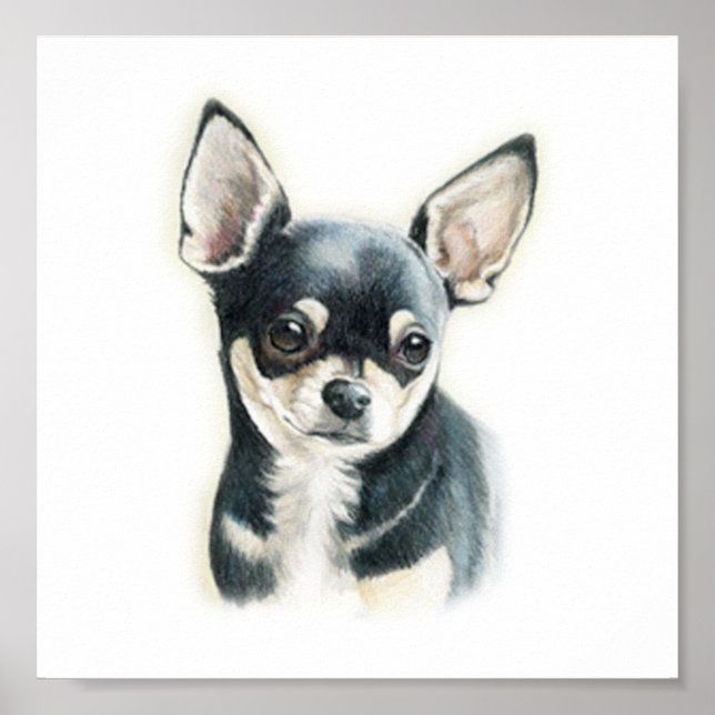 Poster Chihuahua Chig Art Imprimer (Devant)
