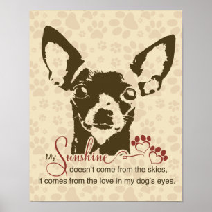 Poster Chihuahua Dog My Sunshine