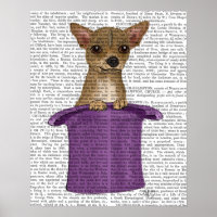Chihuahua en haut du chapeau