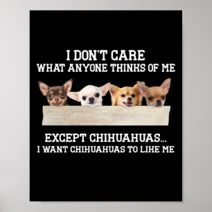 Poster Chihuahua Je me fiche de ce que quiconque pense de