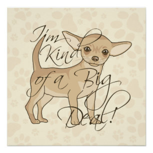 Poster Chihuahua Je suis une sorte de Big Deal