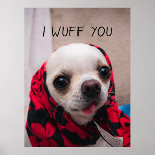 Poster Chihuahua mignon Je vous jure que vous aimez Valen