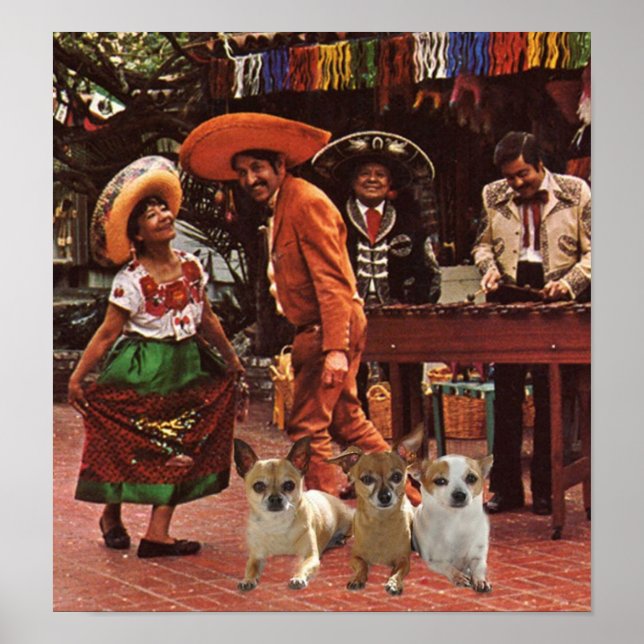 Poster Chihuahuas 3 Amigos (Devant)