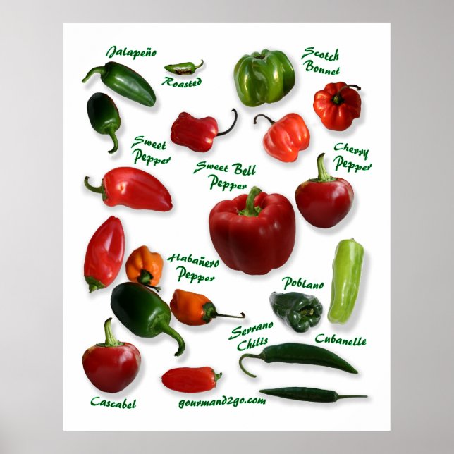 Poster Chili Pepper Variétés (Devant)