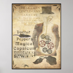 Poster Chilippositories