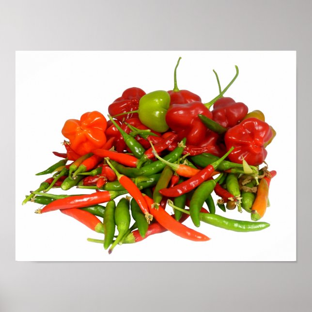 Poster Chillies fraîchement sélectionné (Devant)