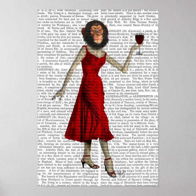 Poster Chimau Au Vin (Devant)