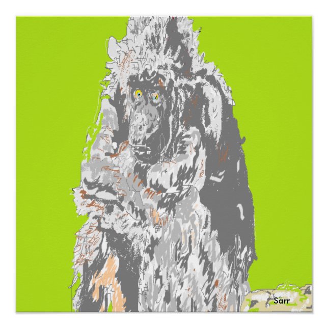 Poster Chimpanzé (Devant)