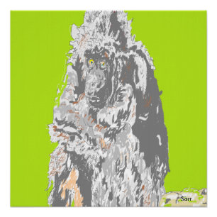 Poster Chimpanzé d'affiche