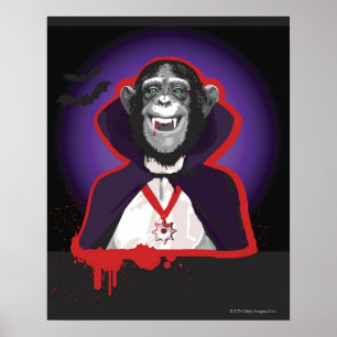 Poster Chimpanzé en costume Dracula