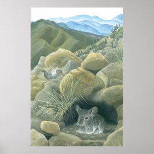 Poster Chinchillas en pleine nature