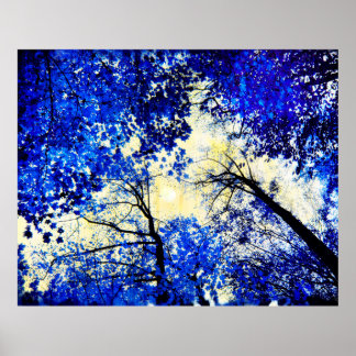 Poster Chine bleu, Photo nature, arbres bleus, lune