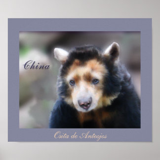 Poster Chine-Osita de Anteojos
