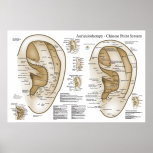Poster Chinese System of Auricular Ear Acupuncture