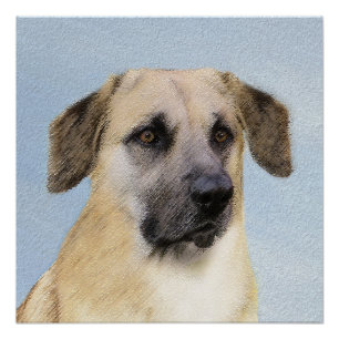 Poster Chinook (Oreilles Laissées) Peinture - Art Chien o