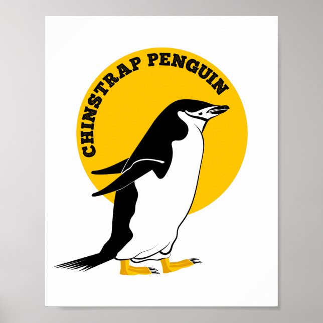 Poster Chinstrap penguin (Devant)
