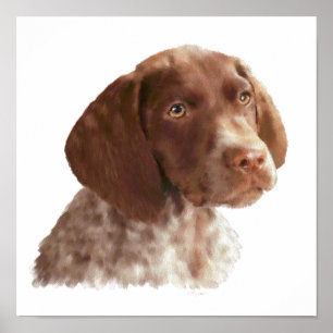 Poster Chiot à aire courte allemand