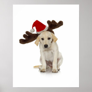 Poster Chiot avec chapeau de Père Noël et oreilles de ren