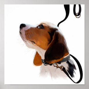 Poster Chiot beagle en laisse