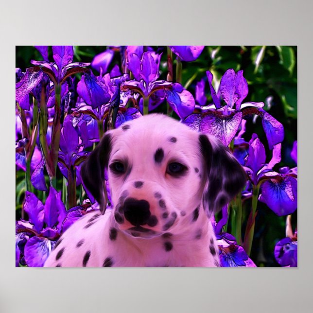 Poster Chiot dalmate Iris Fleurs de Chien Art (Devant)