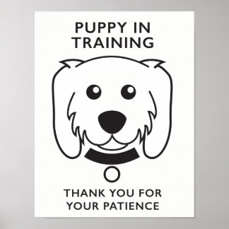 Poster Chiot dans le panneau d'entraînement