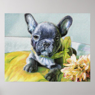 Poster chiot de bouledogue français