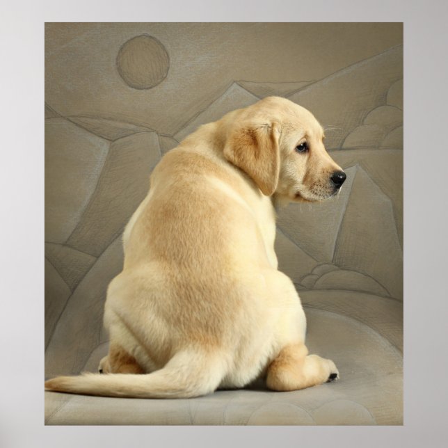 Poster Chiot de récupération du Labrador jaune (Devant)