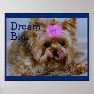 Poster Chiot de Yorkie avec la fleur rose dans les