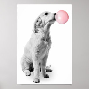Poster Chiot Golden Retriever Bulle Nourrisson Enfant