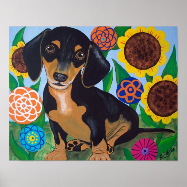 Poster Chiot noir et blanc Dachshund (Devant)