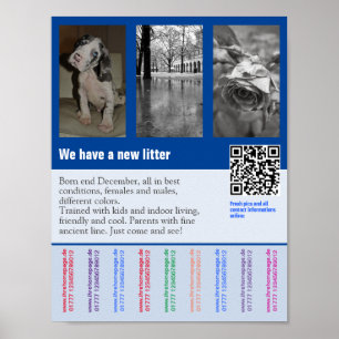 Poster Chiot pour la vente prospectus avec code QR