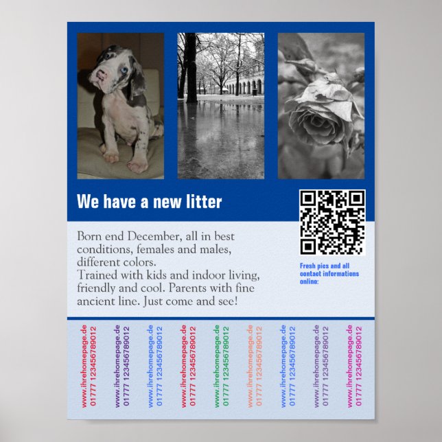 Poster Chiot pour la vente prospectus avec code QR (Devant)