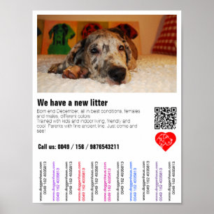 Poster Chiot pour la vente prospectus avec code QR