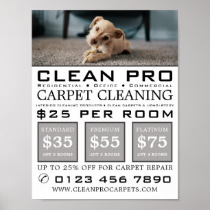 Poster Chiot sur tapis, Nettoyeurs de tapis, Service de n