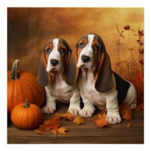 Poster Chiots Basset Hound Délice d'Automne Citrouille 